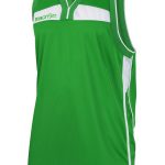 Arsenic korvpallisärk