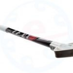 Saalihokikaigas LEXX Swiss K12