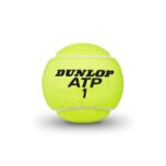 Tennisepallid DUNLOP ATP CHAMPIONSHIP LOWERMID 4-tk ITF