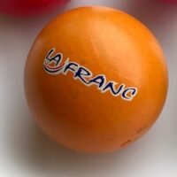 Snadi La Franc oranž