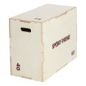 Plyo Box komplekt puidust 40x60x75 cm