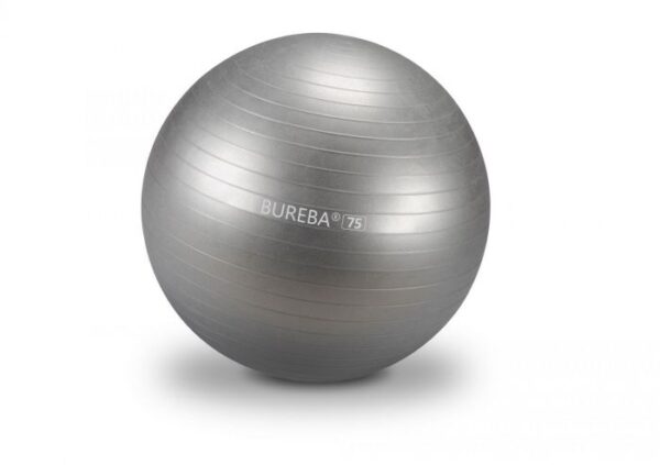 Võimlemispall Medi Bureba 75 cm hõbedane - Image 1