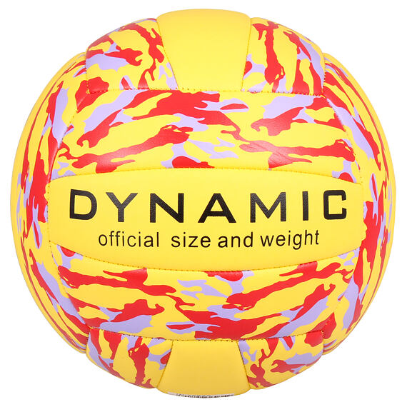 317386_3 Rannavõrkpall DYNAMIC - Image 1